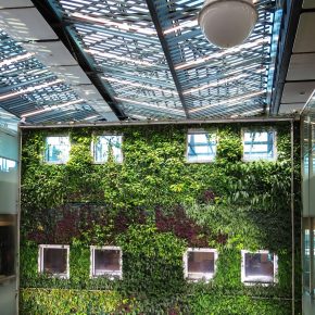 GUEST ARTICLE: How to maintain a green roof – expert shares six simple ways to help yours thrive