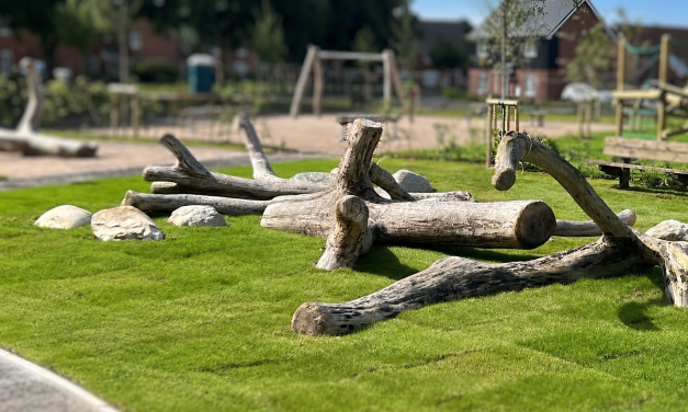GUEST ARTICLE: How Play Trees Can Add Commercial Value to Housing Developments