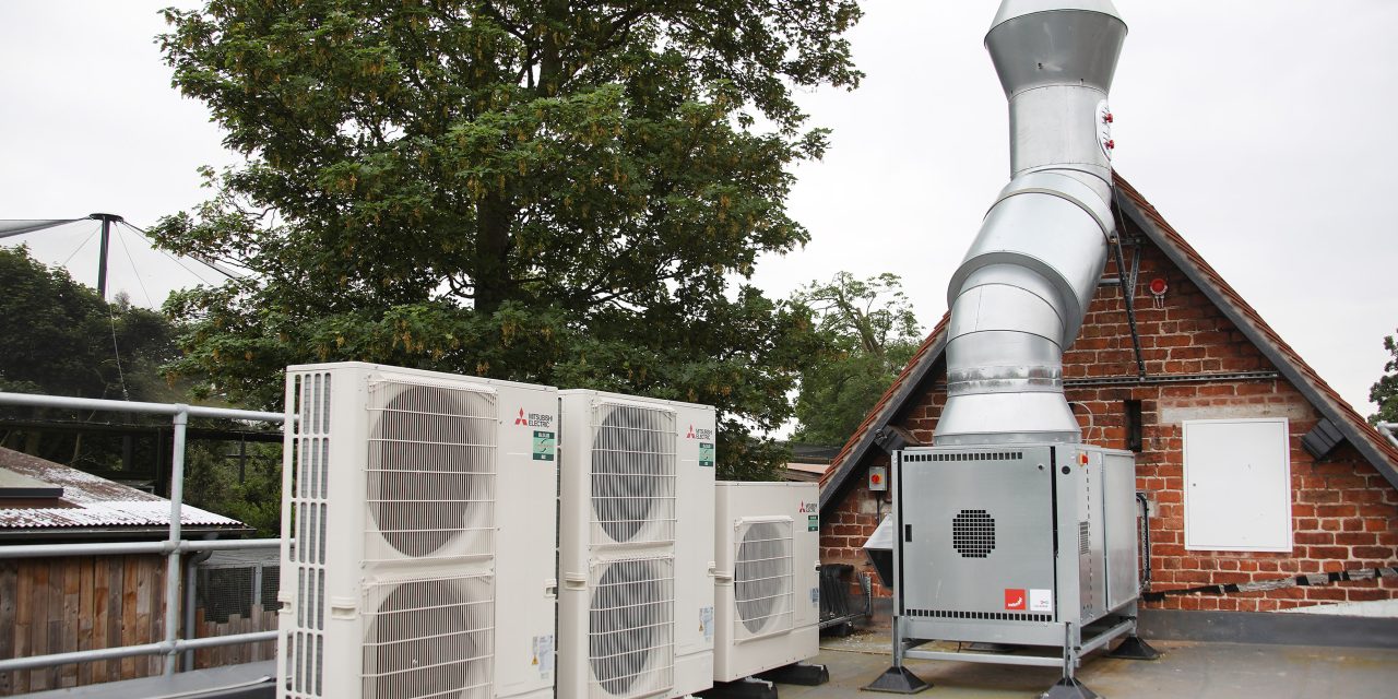 Mitsubishi Electric: A sustainable space in the heart of the zoo