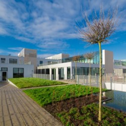 Green roofs