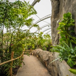 Monsoon Forest has used Gilberts' ventilation solution to replicate a tropical rainforest
