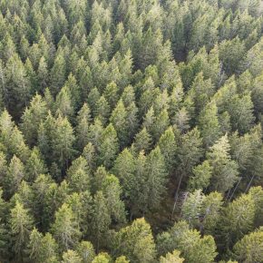 Troldtekt releases its 2024 report on ESG results