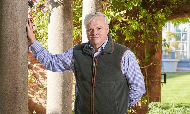 Casting light on a bright future for heritage brand Haddonstone