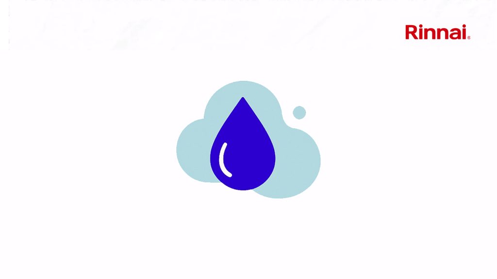 Rinnai Gas