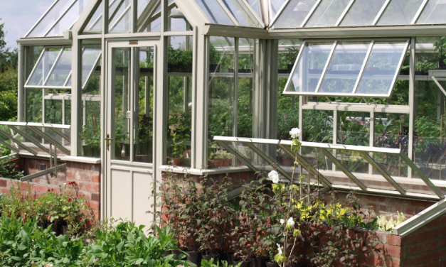 How Much Does It Cost to Have a Greenhouse in the UK?