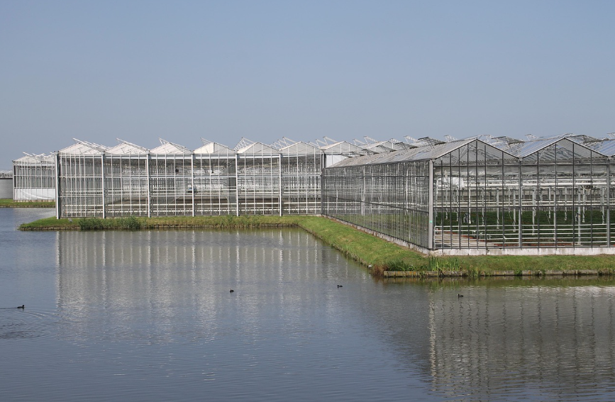Greenhouse Cost