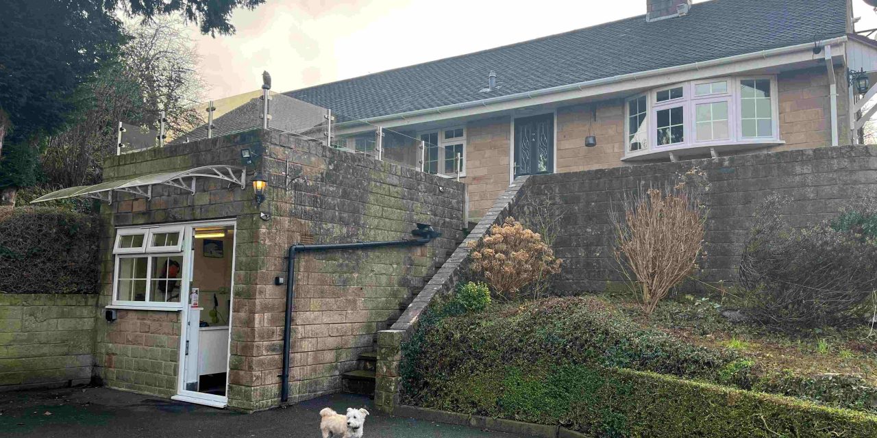 Saniflo: Sanivite+ Solves Laundry Drainage Challenge in Staffordshire Home