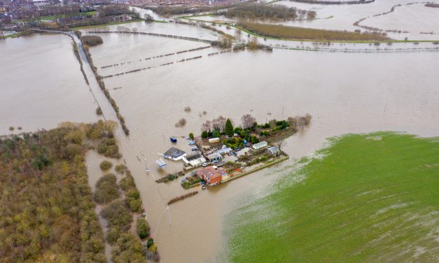 Delta: Valuable Insights to Flood Risks in Basements