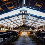Brett Martin improves cow comfort with its Marlon CST Heatguard at Dairy Farm in Lancashire