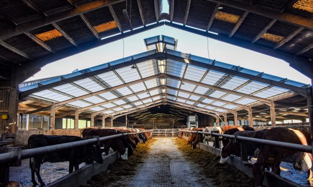 Brett Martin improves cow comfort with its Marlon CST Heatguard at Dairy Farm in Lancashire