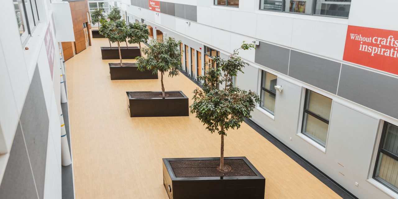 Altro Package Delivers Vibrant and Inclusive Learning Environment