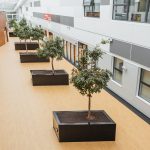 Altro Package Delivers Vibrant and Inclusive Learning Environment