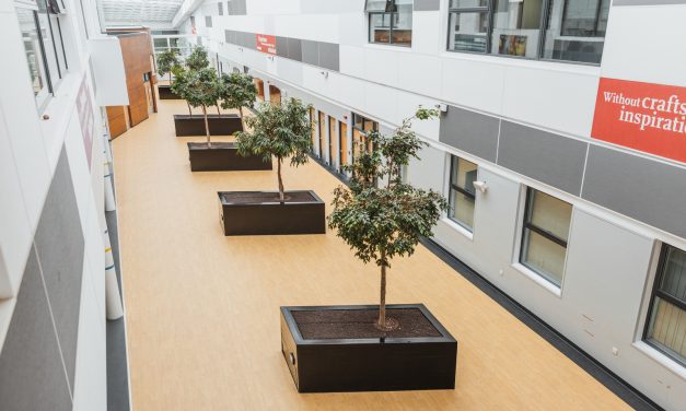 Altro Package Delivers Vibrant and Inclusive Learning Environment