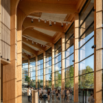 AkzoNobel whitepaper makes the case for wood in more sustainable buildings