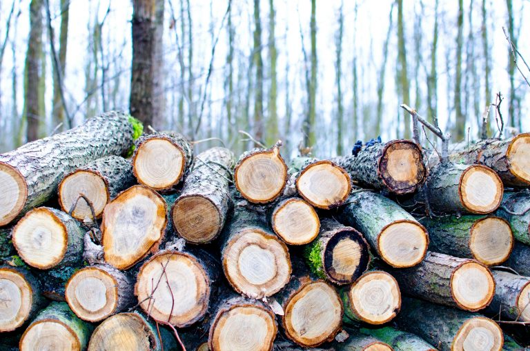 Timber