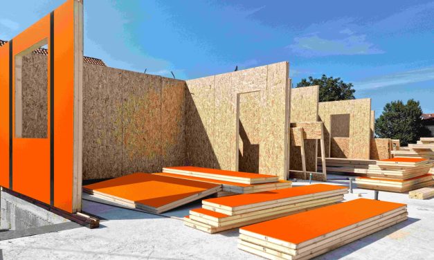 GUEST ARTICLE: Timber Growth – key to capitalising in the UK