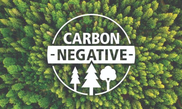 West Fraser helps housebuilders meet net zero targets